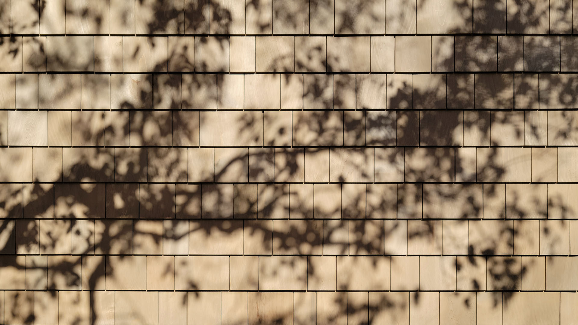 texture of light and shadow on cedar shingles